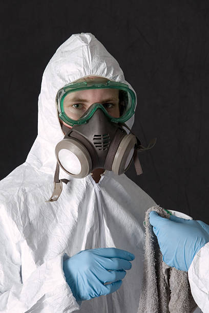 Best Attic Mold Removal  in Timpson, TX